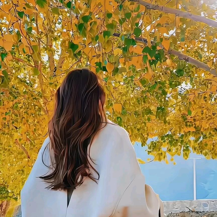 ℳღ零度💞ღ᭄