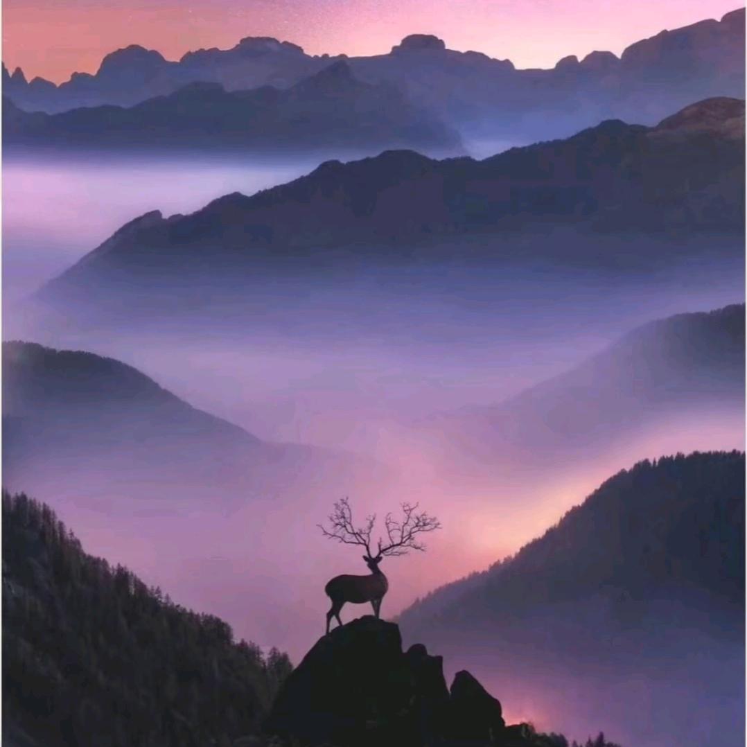 轻舟 路 过万 重山