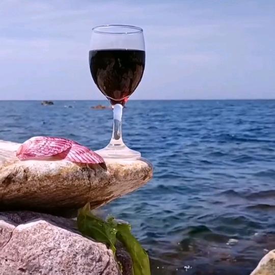 蓝色心情🍷