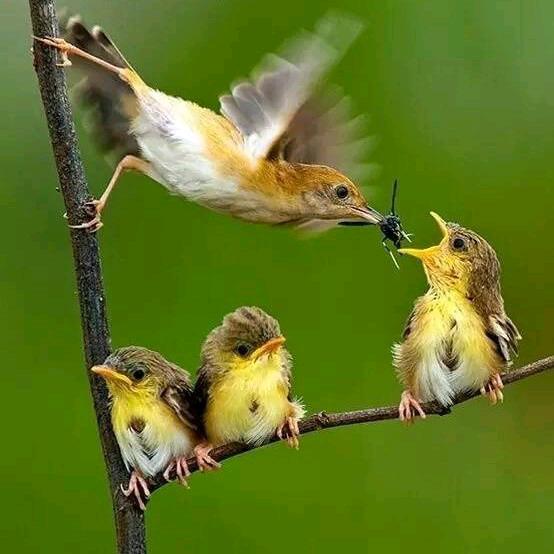 晴空艳阳一一谷