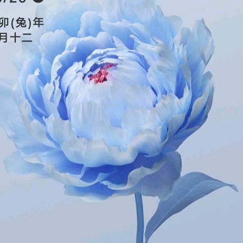 心之所向皆是自由