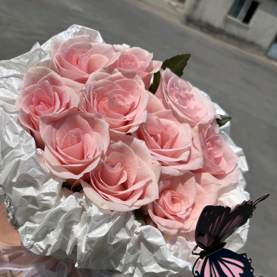 Pink🌸