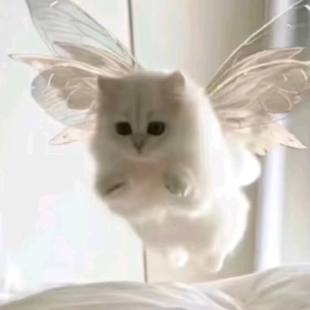 ⁺✞ʚ人民币重度依赖ɞ✟₊