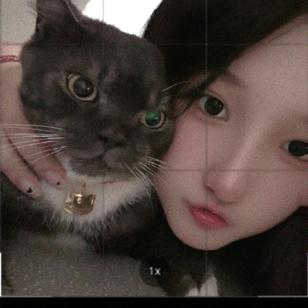 天天开心(∩_∩)