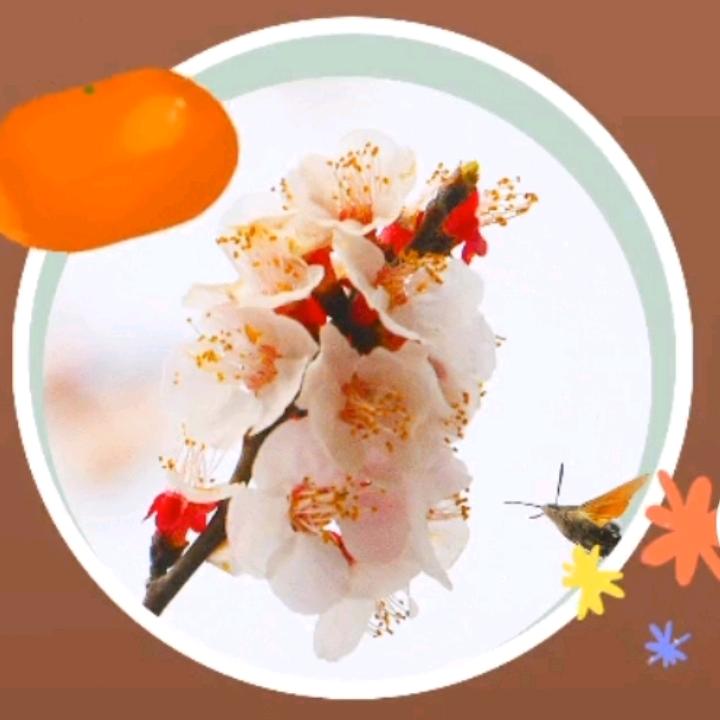 往事沉封