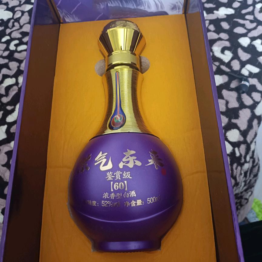 玩玩
