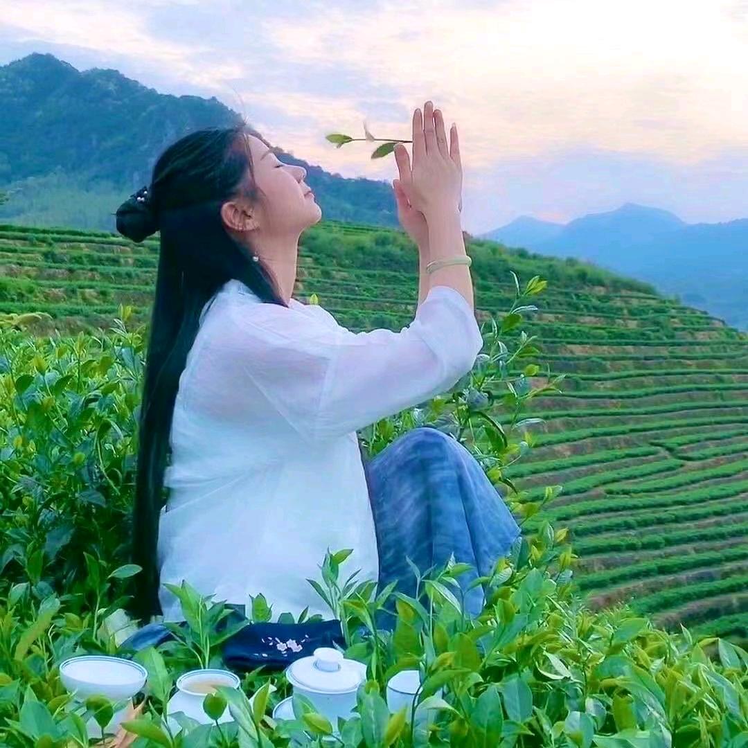 李姑娘的茶生活