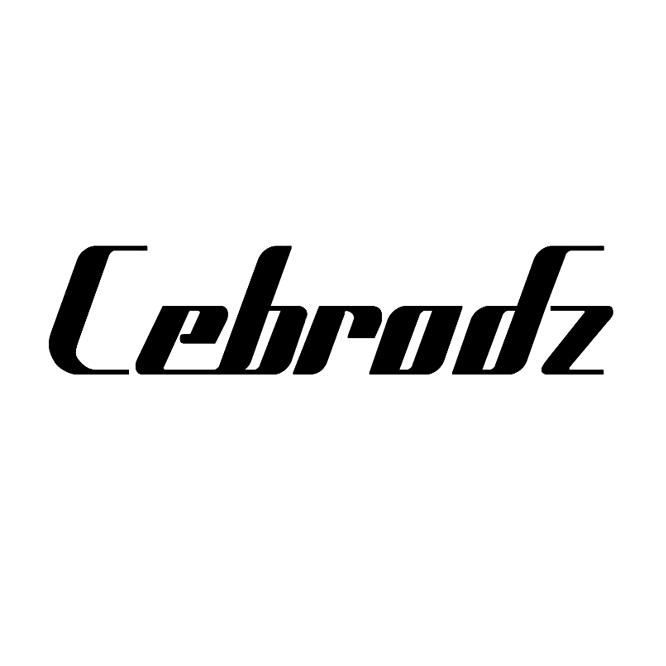 Cebrodz广州丽风里电子商务有限公司男装专卖店