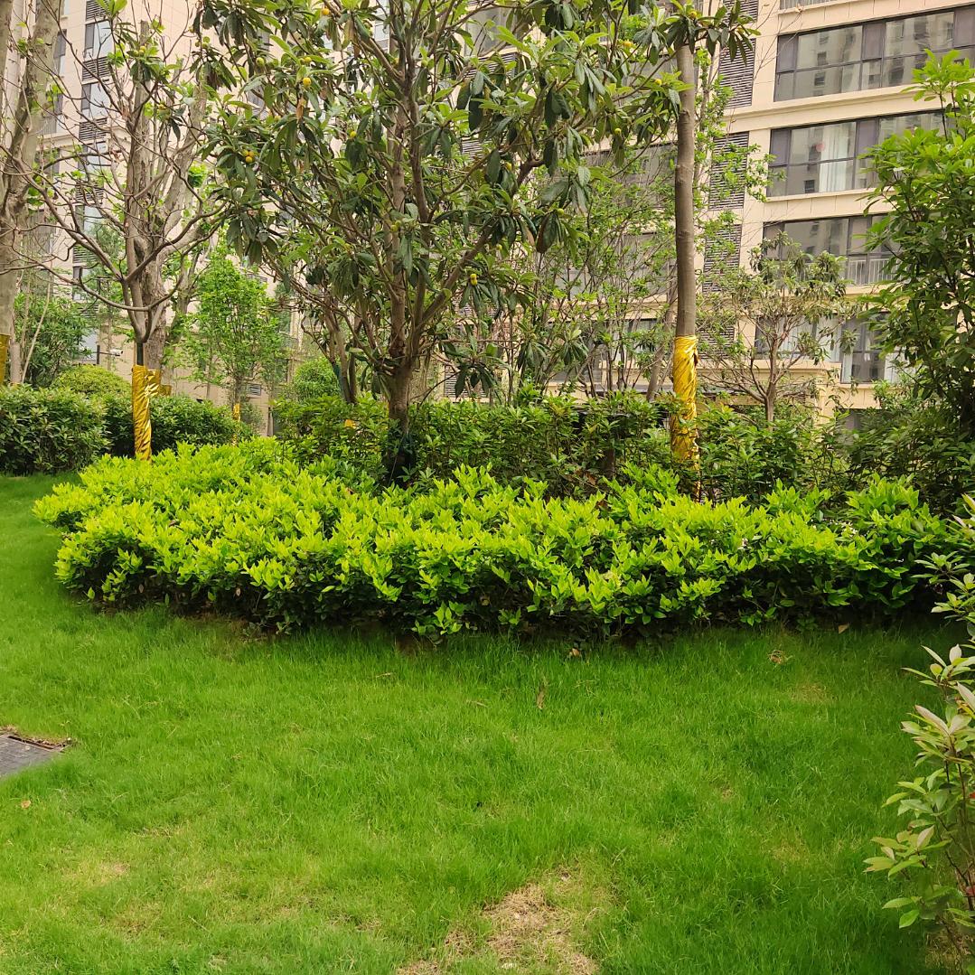 与春同行
