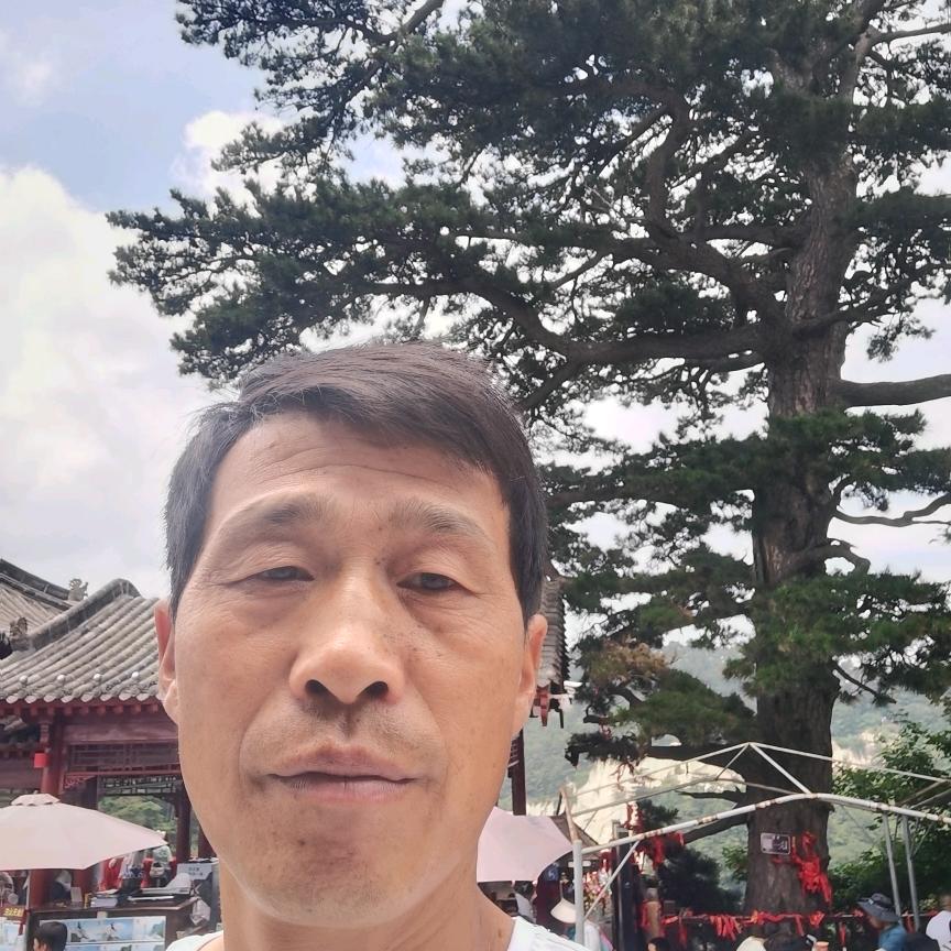 完美人生