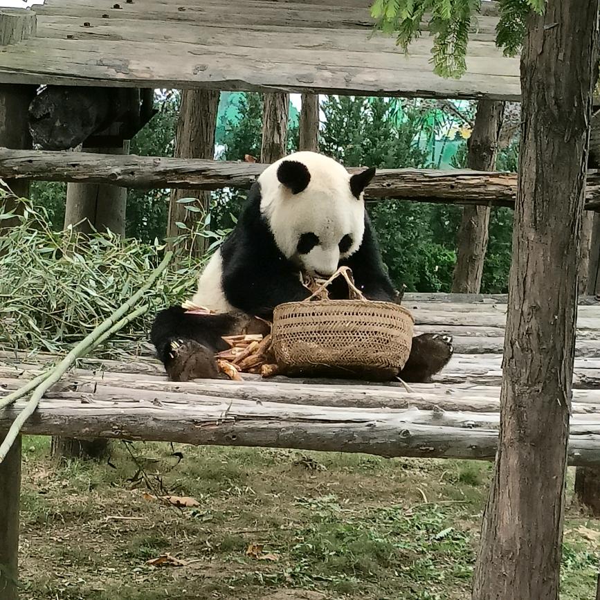 西霞口旅游推荐