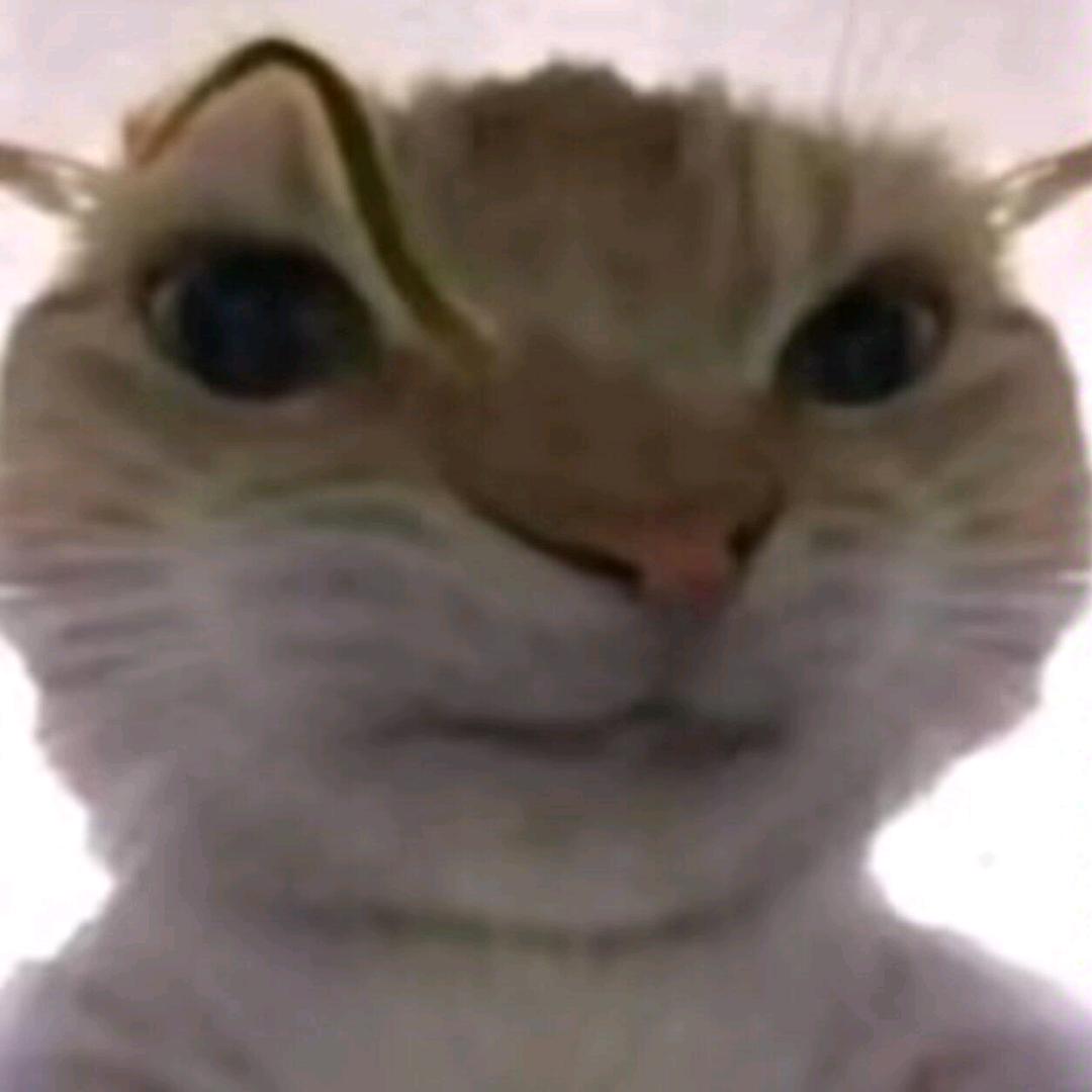 咸鼠（三角洲）