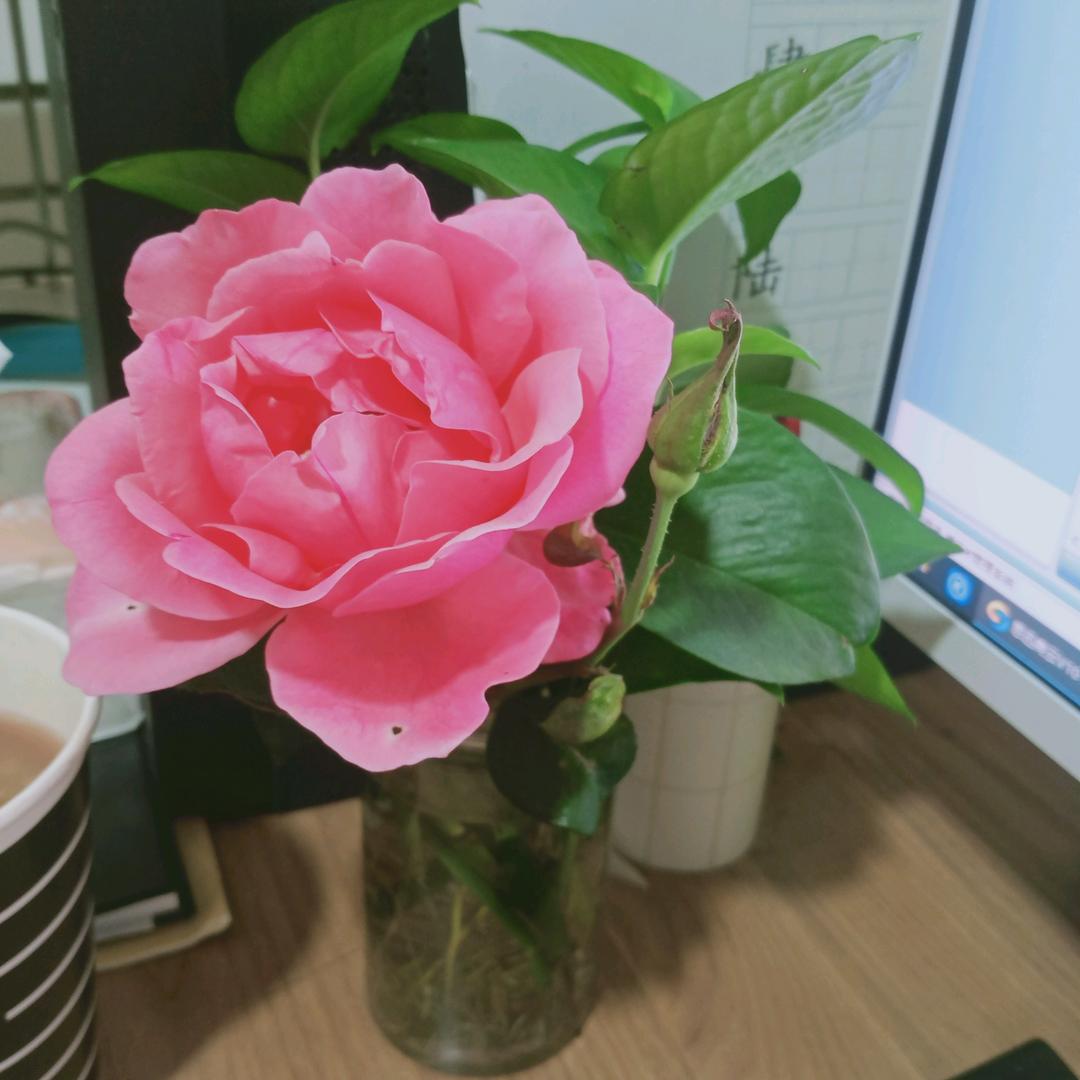 小骆爱生活