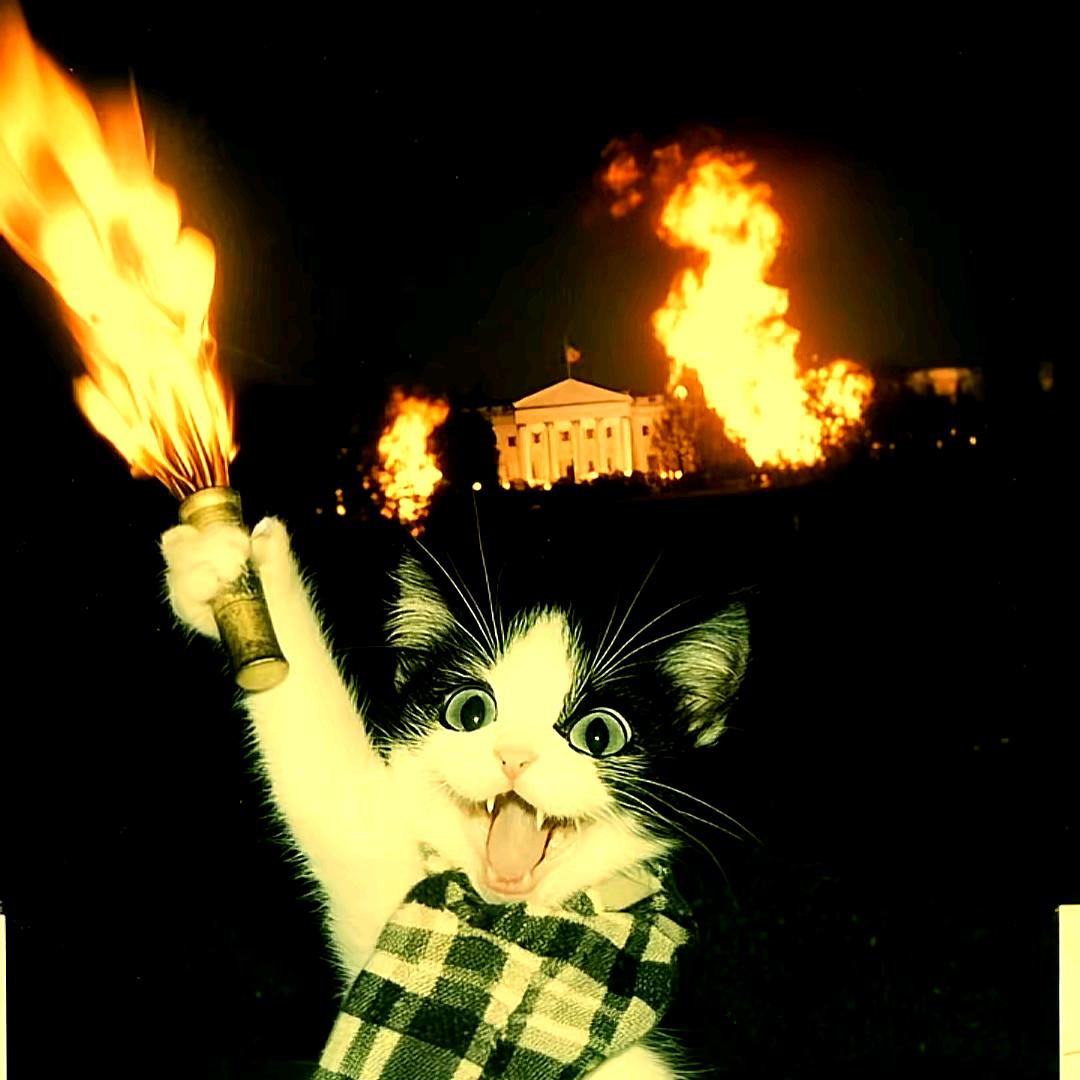 207