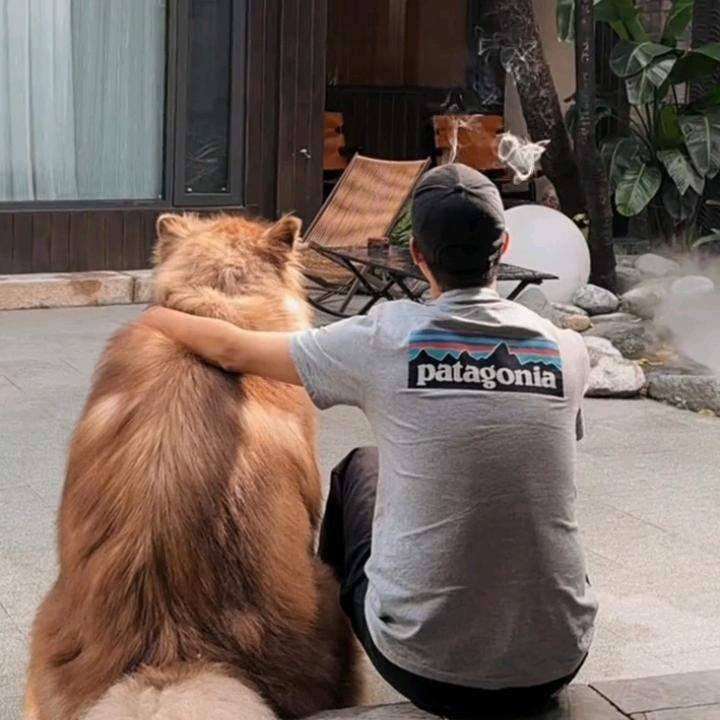天天在丽江🐶（丽江160斤胖狗民宿）
