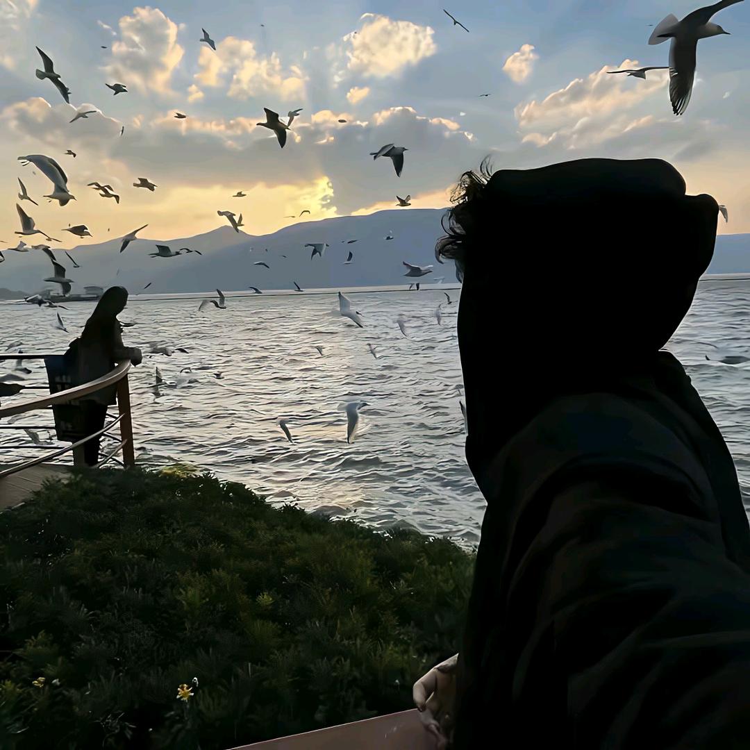 顶峰相见