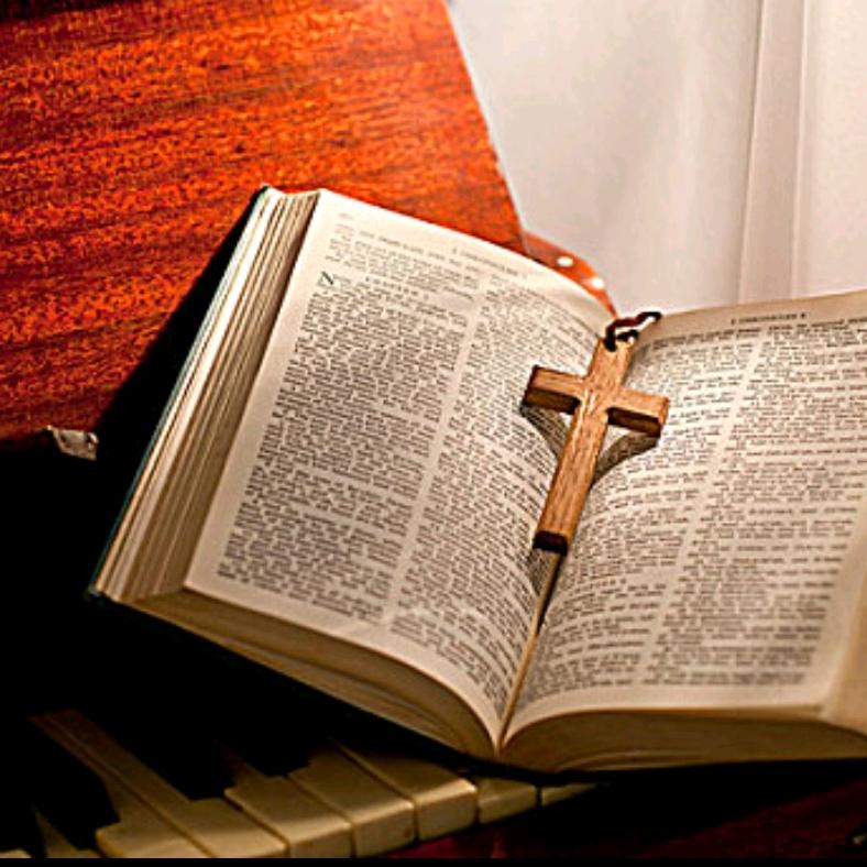 3927读书汽车防撞系统厂家