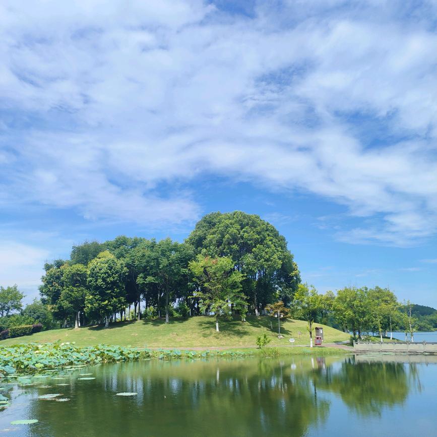 阳阳阳