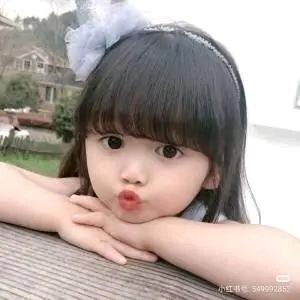 紫色薰衣草