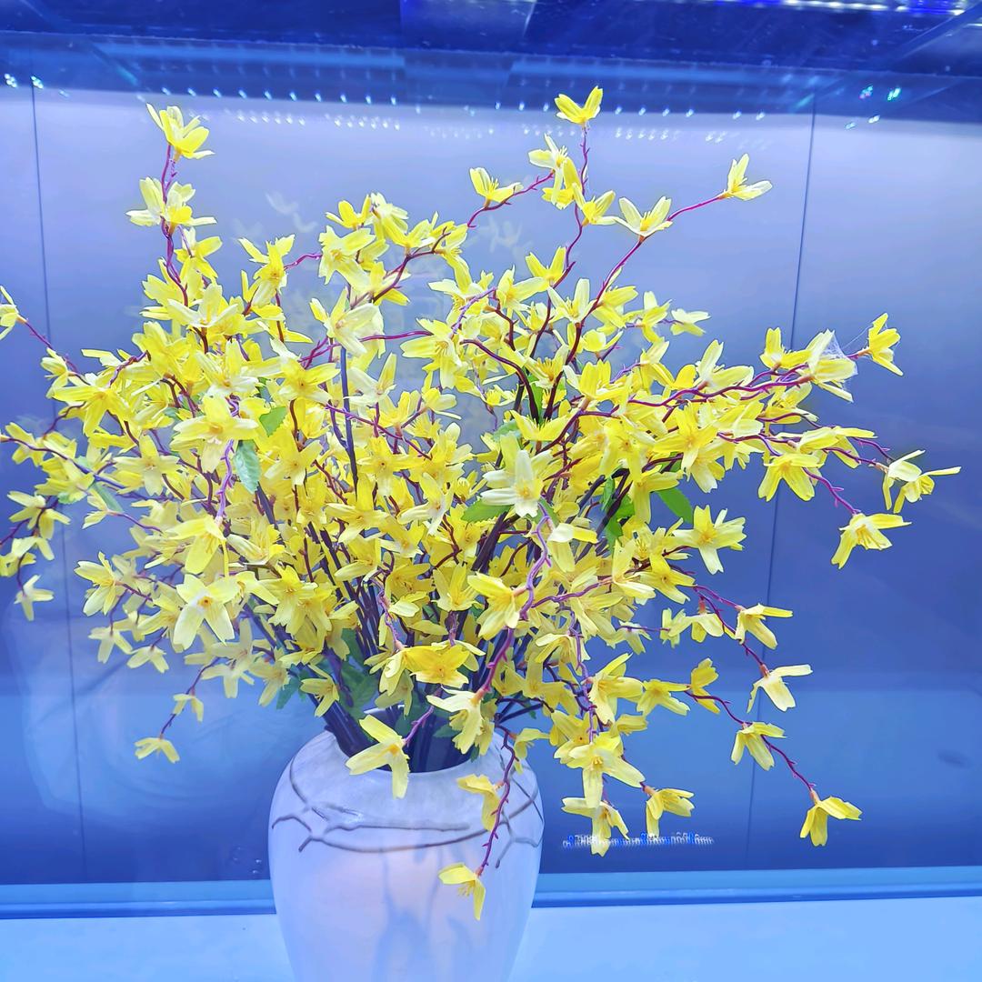 潇洒姐🤗🤗