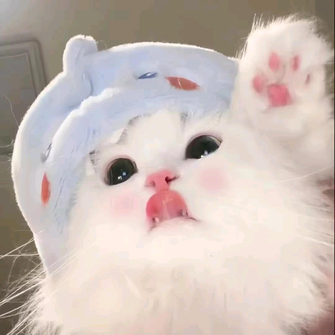 纯脆(逆水寒手游)