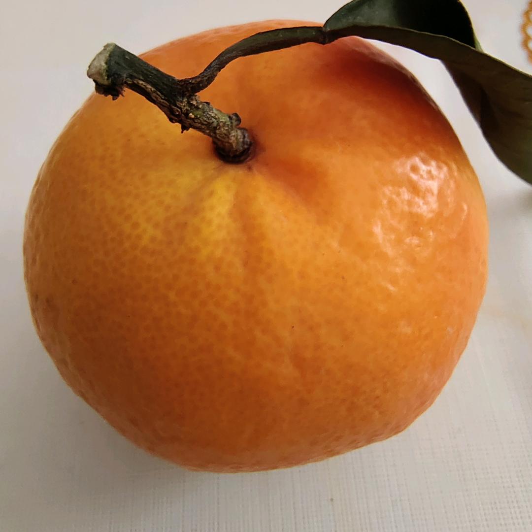 干啥呢，刷抖音