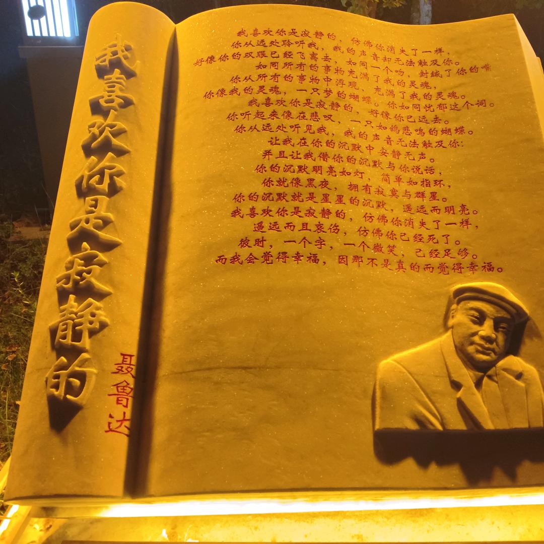 山坡上的狗尾草