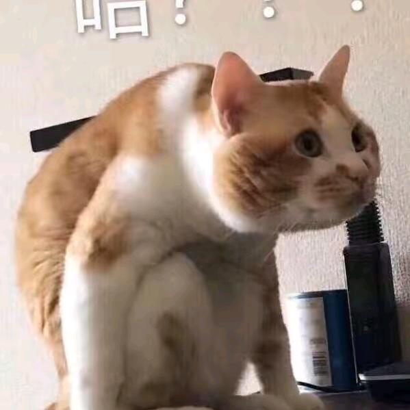 嘉嘉不喝酒
