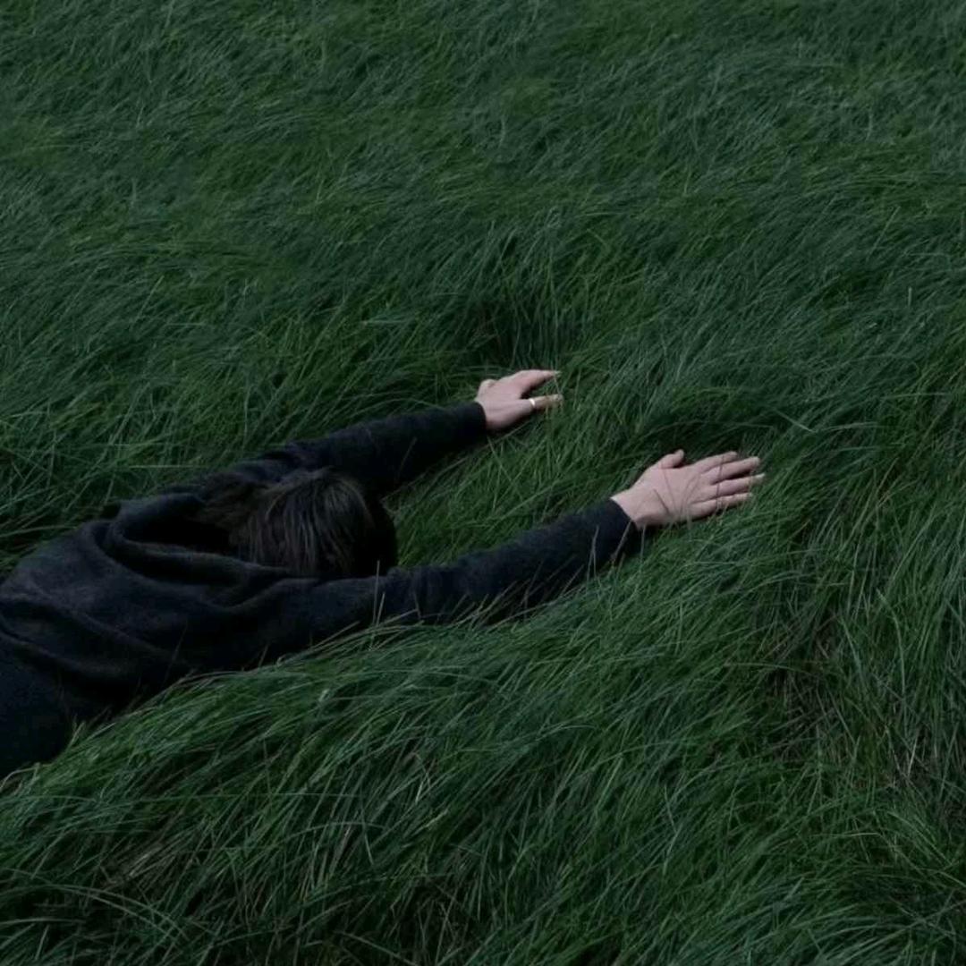 Somnus
