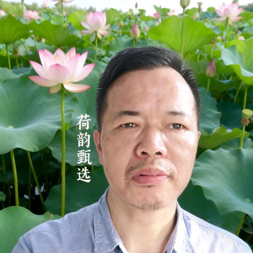 荷韵甄选