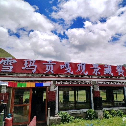 雪玛贡嘎观景藏餐官方号