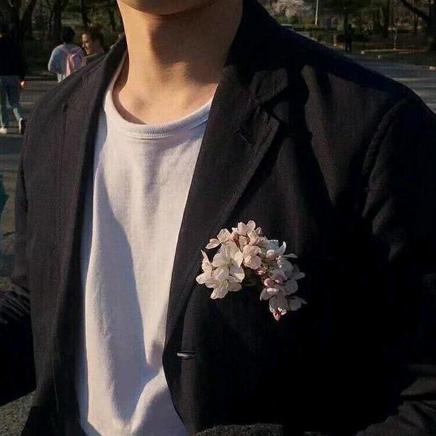 CF动霸