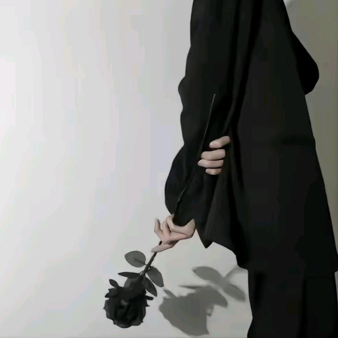 徐凤年的装修日记