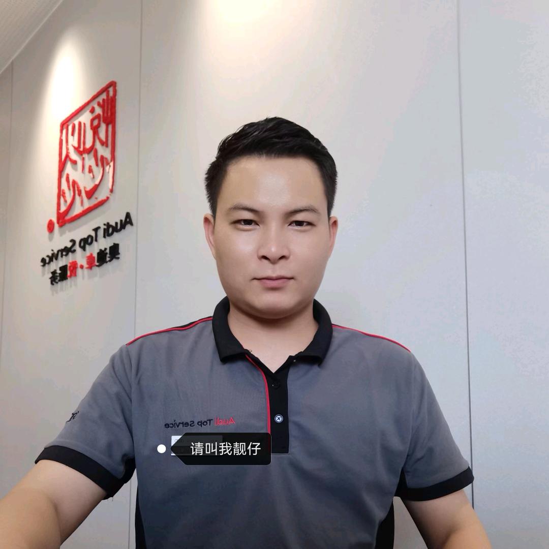 奥迪丁豪星奥德