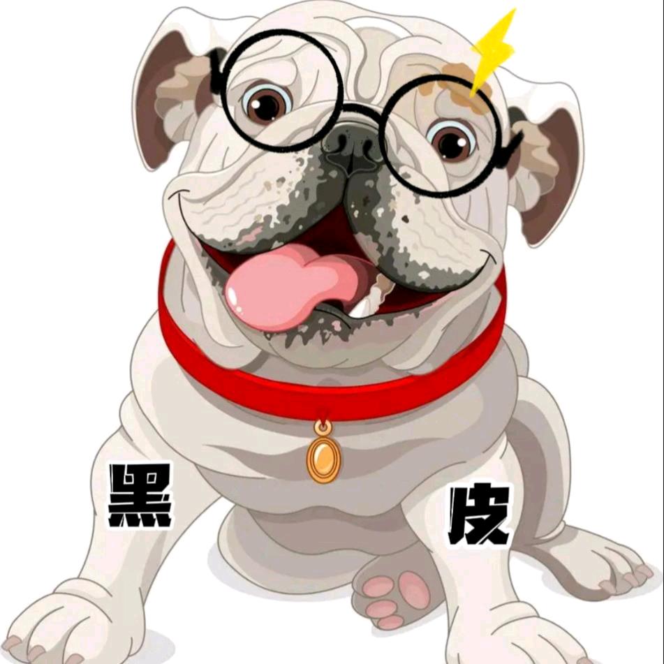 皮哥配音秀
