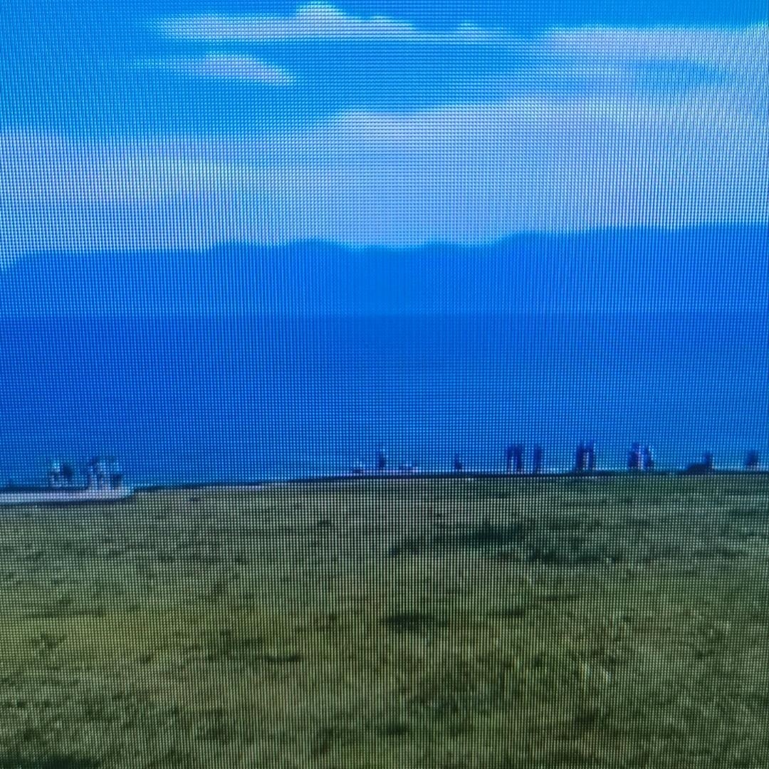 大大怪（努力版）