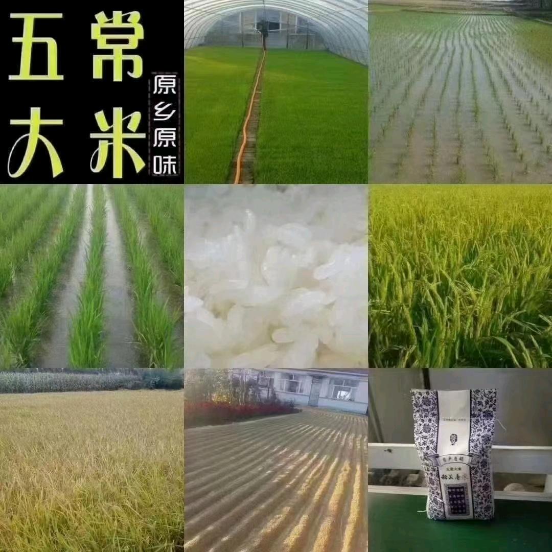 豆腐婆