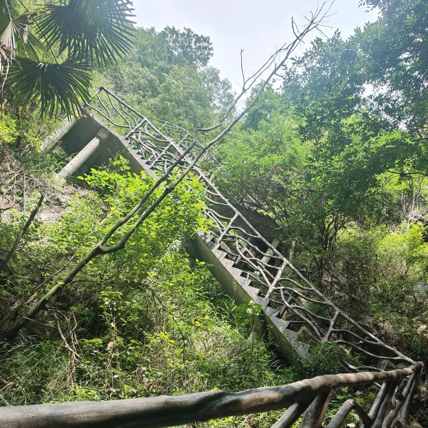 一往情深