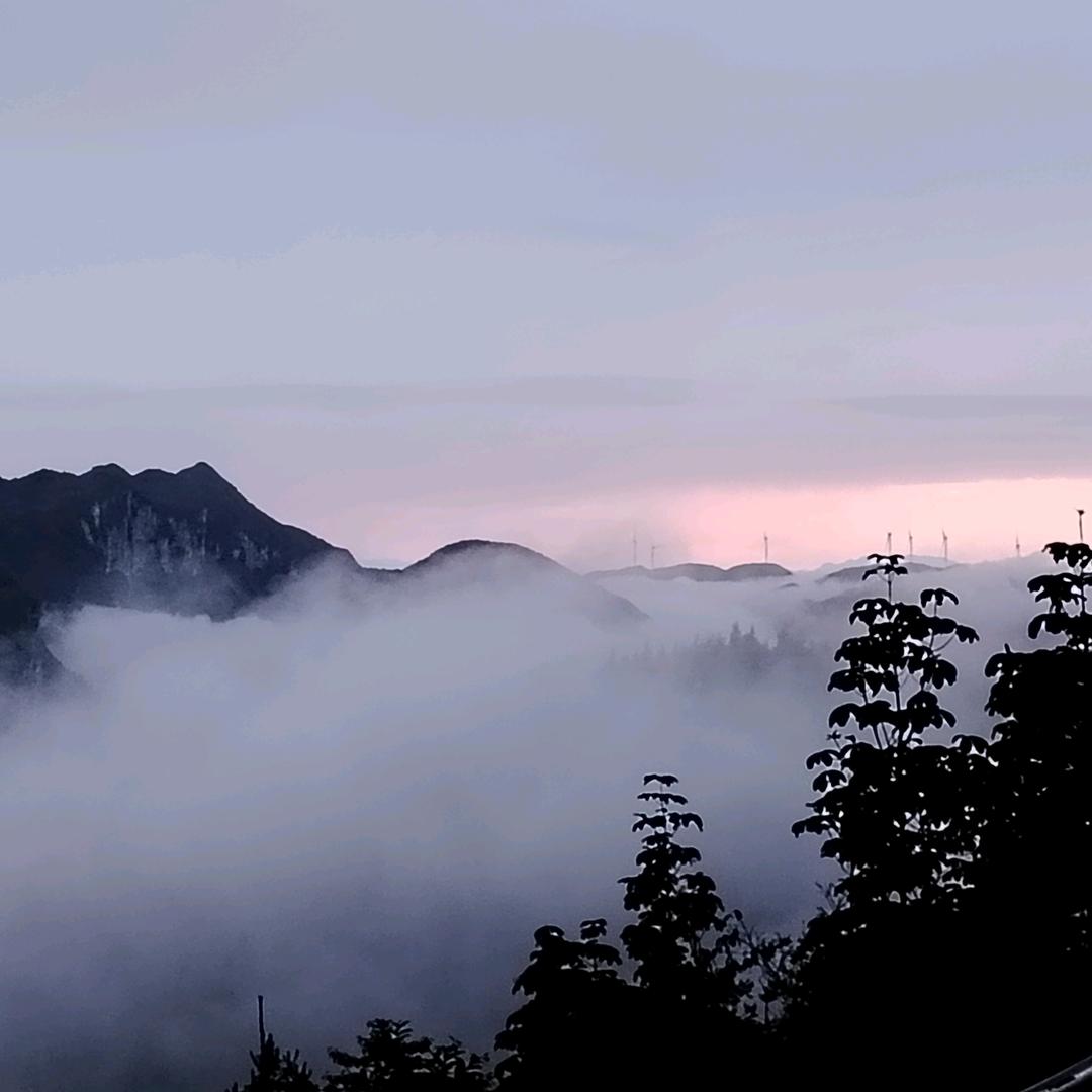 隋芯锁遇