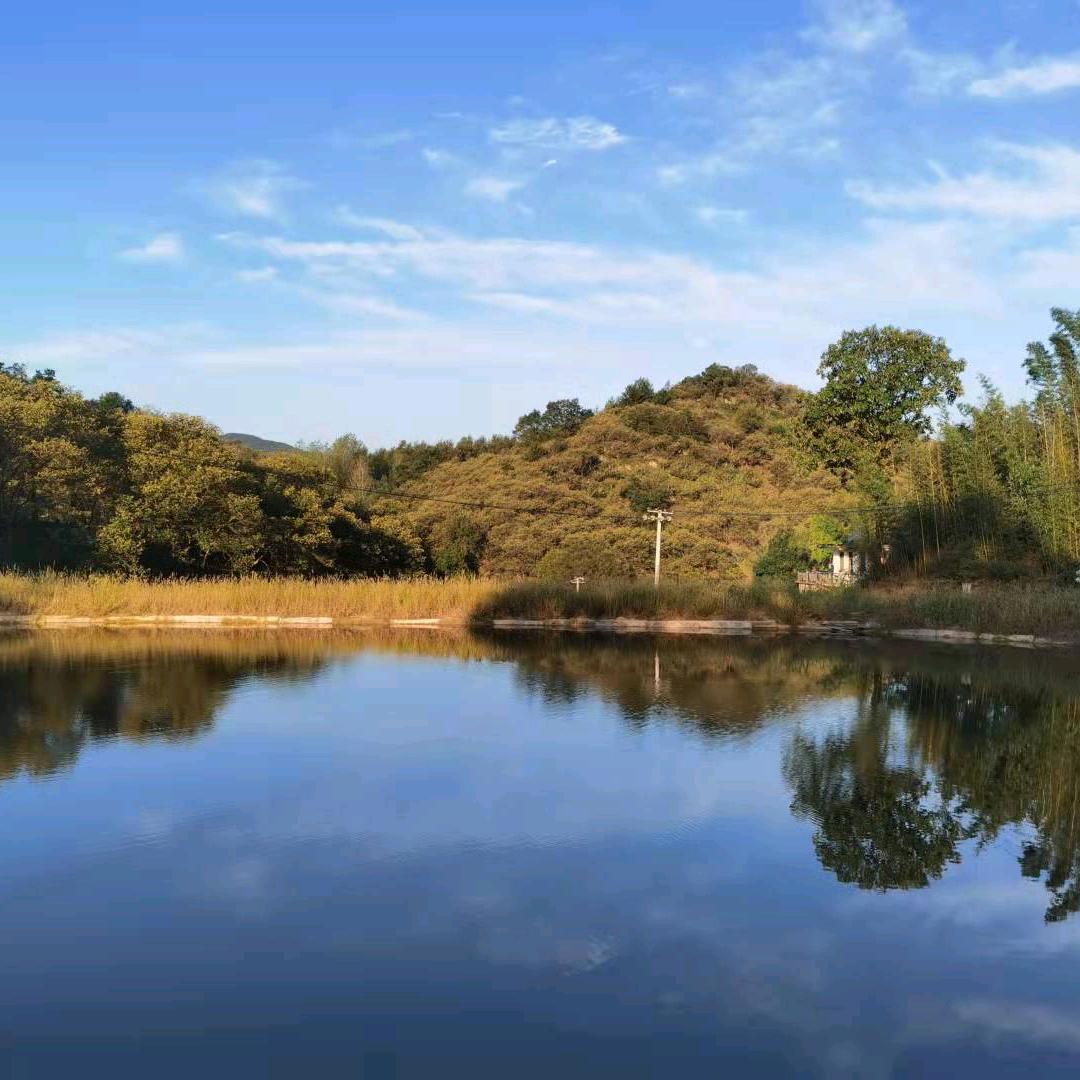 王力智能门锁（余家头金鑫店）