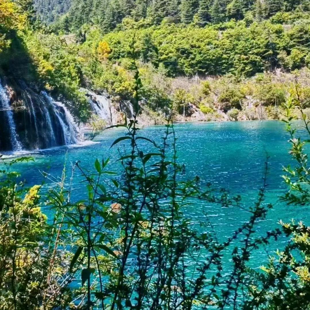 人生就是一出戏