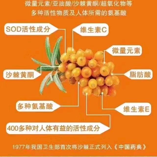 沙棘果批发官方号