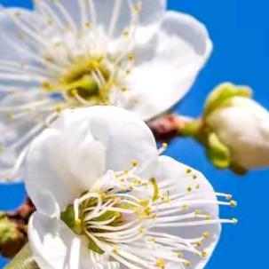 天天开心每一天