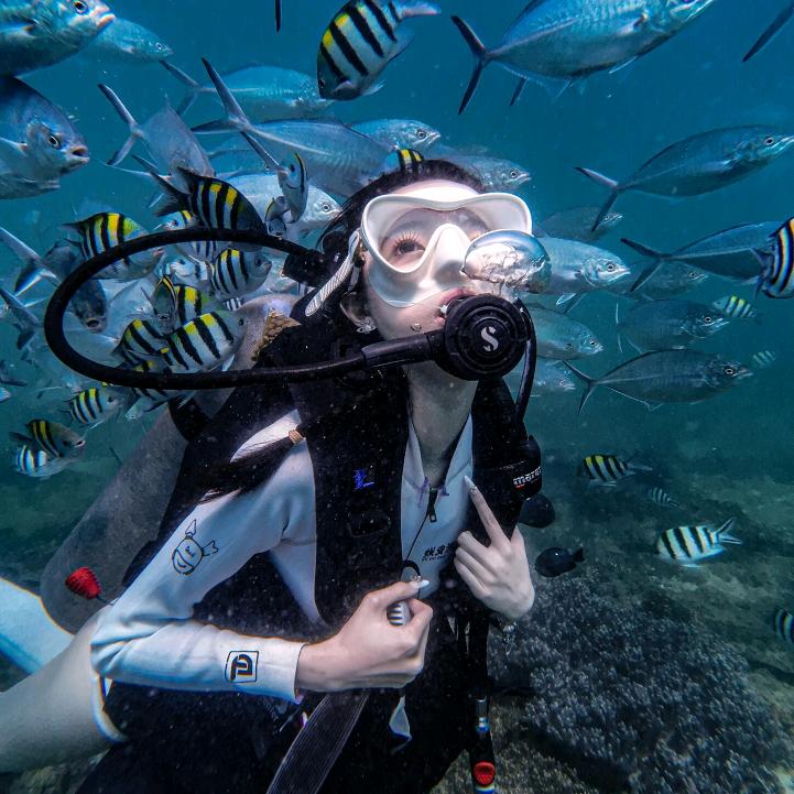 凤凰岛小丑鱼海上乐园官方号