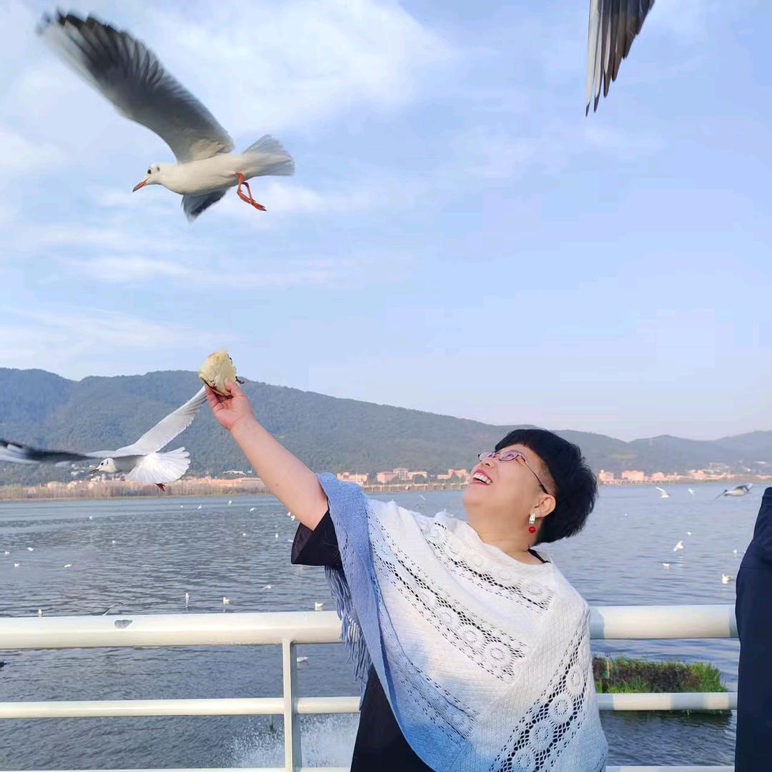 余晖拾梦人