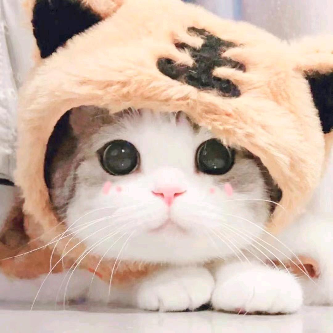 李清漫（对对对，是我是我）