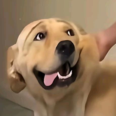 狗蛋