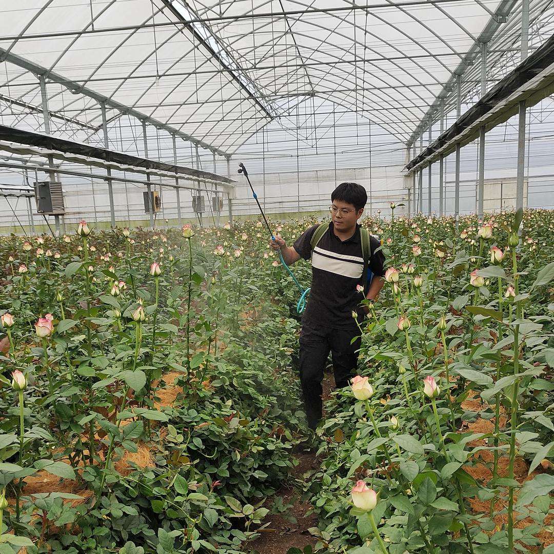 朴欣农资少年在田间