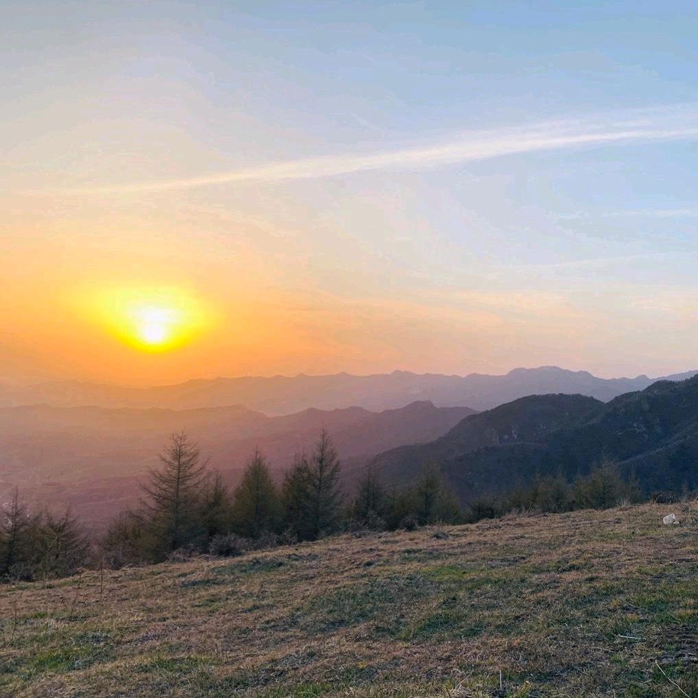 上岸