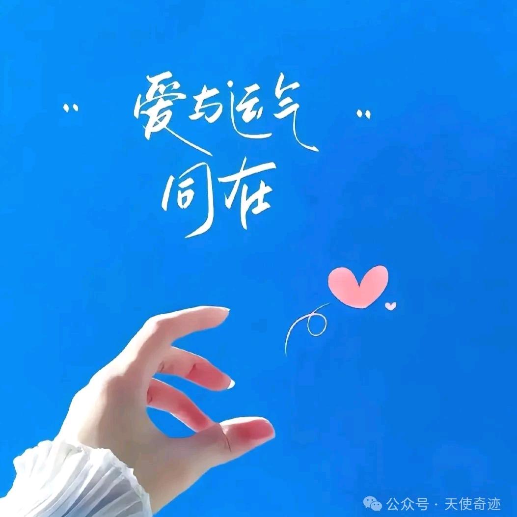 ✨岁月静好✨